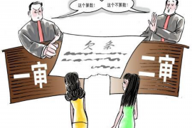 义县融资清欠服务